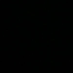 Meet your Posher, Jayden